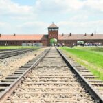 From Krakow: Auschwitz and Wieliczka Salt Mine Full-Day Trip - Starting Point at Wielopole Street in Krakow