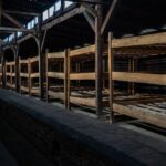 From Krakow: Auschwitz-Birkenau Full-Day Tour - Visiting Auschwitz I and Birkenau: What’s Included