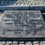 From Krakow: Auschwitz-Birkenau Guided Full-Day Tour - Exploring Auschwitz I with a Licensed Guide