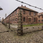 From Krakow: Auschwitz-Birkenau Guided Tour & Transportation - Starting from Krakow: Convenient Pickup and Clear Logistics