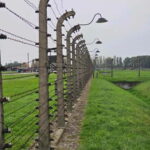 From Krakow: Auschwitz-Birkenau Guided Tour with Pickup - Visiting Auschwitz I: The Original Camp Site