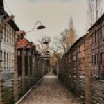 From Krakow: Auschwitz-Birkenau Guided Tour with Transport - Exploring Birkenau: The Largest Camp