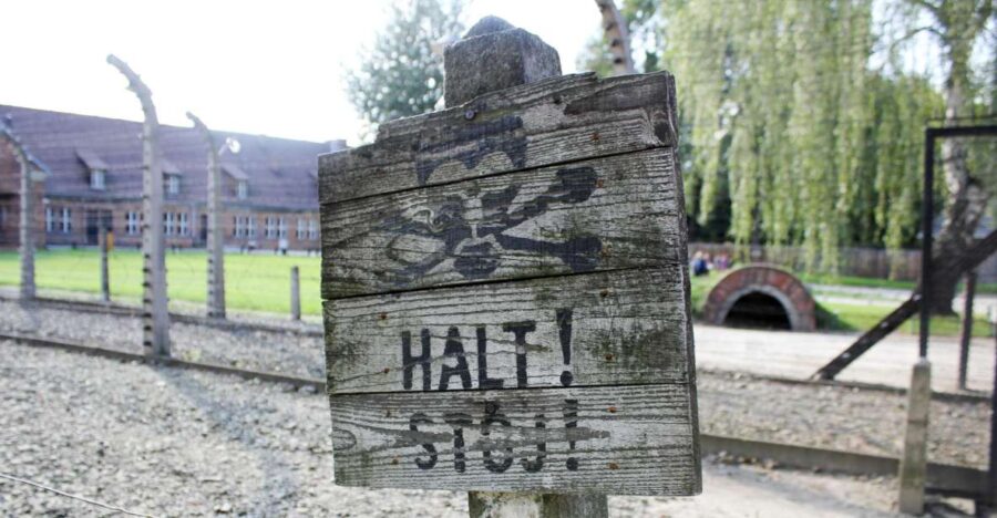 From Kraków: Auschwitz-Birkenau Memorial Guided Tour - Visiting Auschwitz-Birkenau: The Largest Nazi Concentration Camp