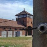 From Krakow: Auschwitz-Birkenau Private or Shared Tour - Meeting at Your Krakow Accommodation