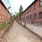 From Krakow: Auschwitz Birkenau Tour with Transfer - The Experience of Self-Guided Tours with Brochures