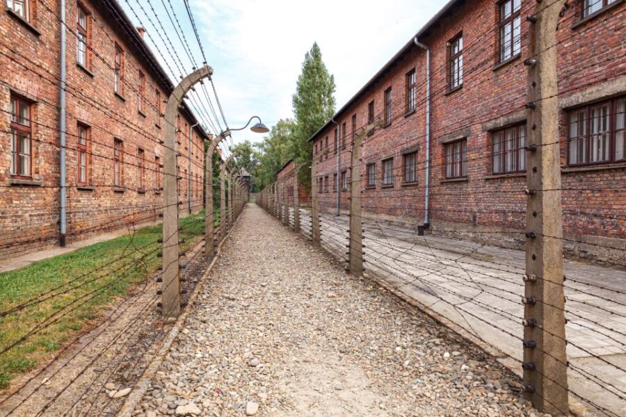 From Krakow: Auschwitz Birkenau Tour with Transfer - The Experience of Self-Guided Tours with Brochures