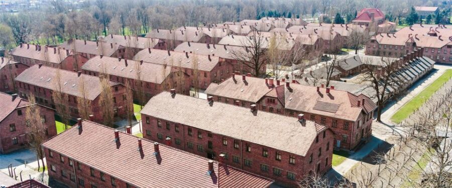 From Krakow: Auschwitz-Birkenau Tour with Transportation - Transportation: Comfortable and Reliable