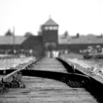 From Krakow: Auschwitz & Wieliczka Salt Mine Guided Tour - Exploring Wieliczka Salt Mine: Underground Marvels