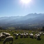 From Krakow: Dunajec River Rafting and Zakopane Town Tour - Scenic Cable Car Ride to Gubaówka with Tatra Mountain Views