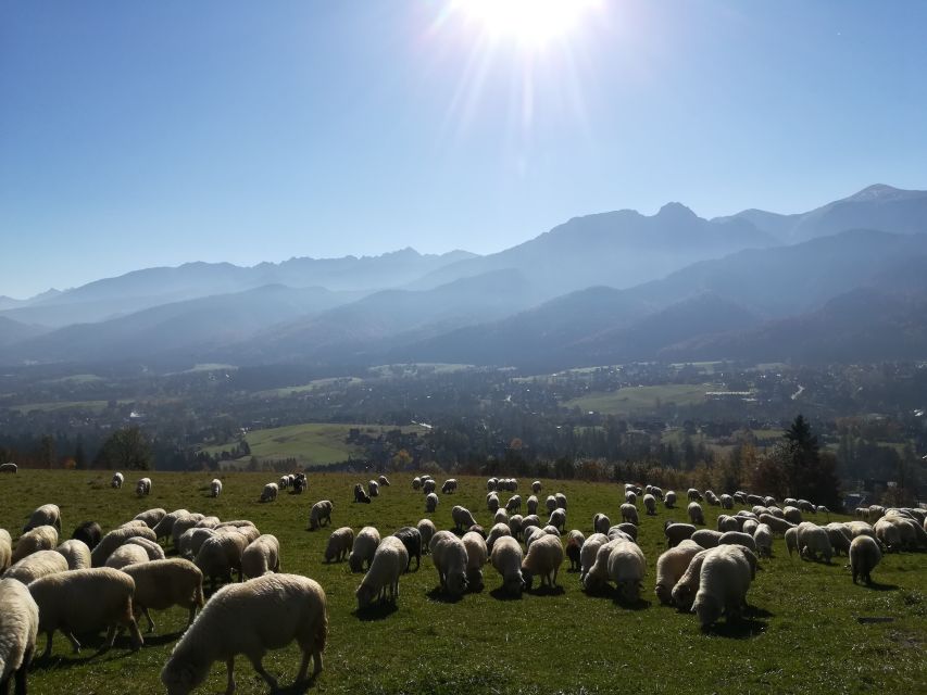 From Krakow: Dunajec River Rafting and Zakopane Town Tour - Scenic Cable Car Ride to Gubaówka with Tatra Mountain Views