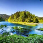 From Krakow: Dunajec Wooden Rafting Tour - The Authentic Experience of Wooden Rafting on the Dunajec River