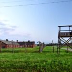 From Krakow: Last Minute Auschwitz-Birkenau Guided Tour - Transport and Timing: A Long but Well-Managed Day