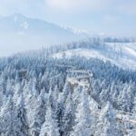 From Kraków: Slovakia Treetop Walk & 4-Hour Ski Pass - Scenic Journey to Diar for the Treetop Walk