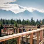 From Krakow: Slovakia Treetop Walk, Zakopane & Thermal Spa - Starting from Krakow: Convenient Hotel Pickup and Transport