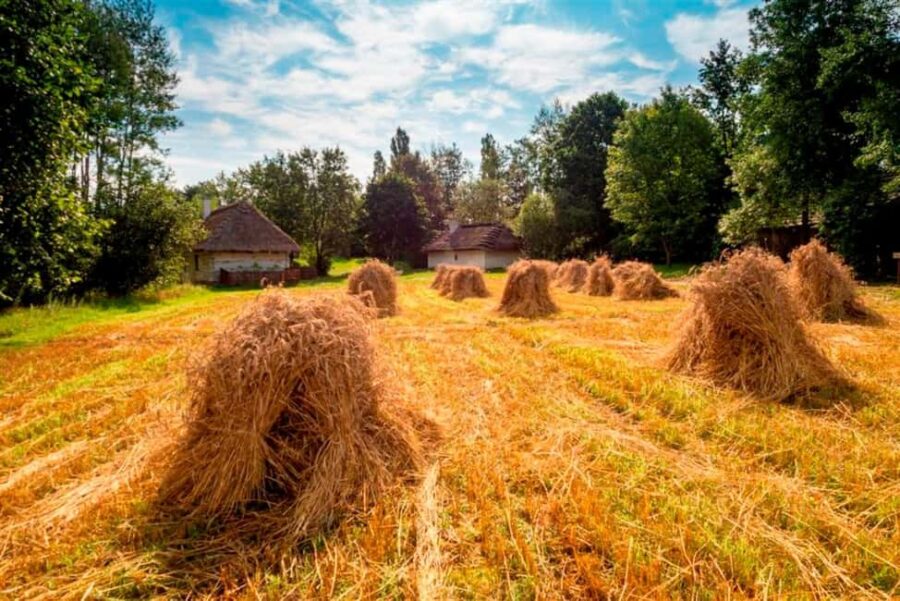 From Krakow: Tokarnia Ethnographic Park  Private Day Trip - Discovering the Tokarnia Open-Air Museum’s Historic Wooden Buildings