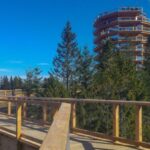 From Krakow: Treetop Walk in Slovakia and Thermal Baths Tour - Scenic Walks Through Pieniny National Park and Bachledova Valley