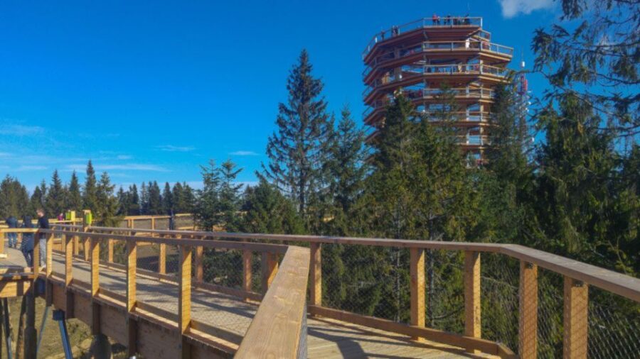From Krakow: Treetop Walk in Slovakia and Thermal Baths Tour - Scenic Walks Through Pieniny National Park and Bachledova Valley