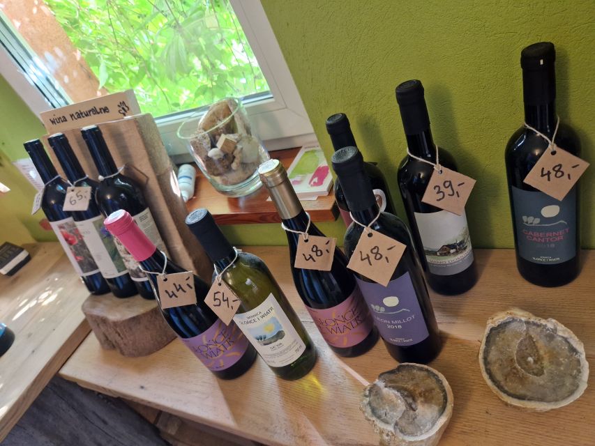 From Krakow: Wine Tasting at Vineyard - From Krakow to the Vineyard: Easy and Convenient Transportation