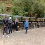 From kusadasi : Ephesus and House of Mary Tour for Crusiers - Comparing with Similar Tours