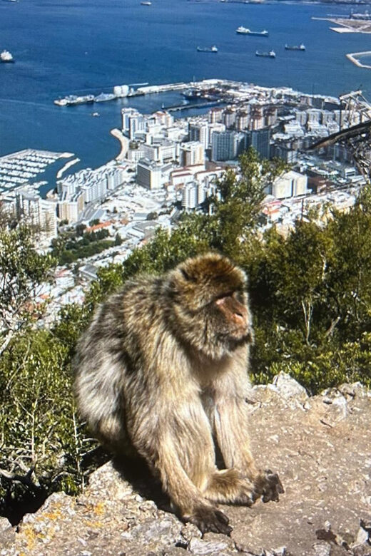 from La Cala/Marbella/Estepona: VIP Gibraltar tour with monkey rock + shopping - Comfortable Pickup and Drop-off from La Cala, Marbella, or Estepona