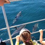 From Lagos: Dolphin Watching Cruise on a Catamaran - Starting Point and Meeting Logistics at Marina de Lagos