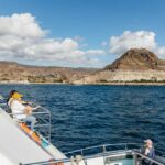 From Las Palmas: Highlights of Gran Canaria Day Tour - Meeting Point and Transportation Logistics in Las Palmas