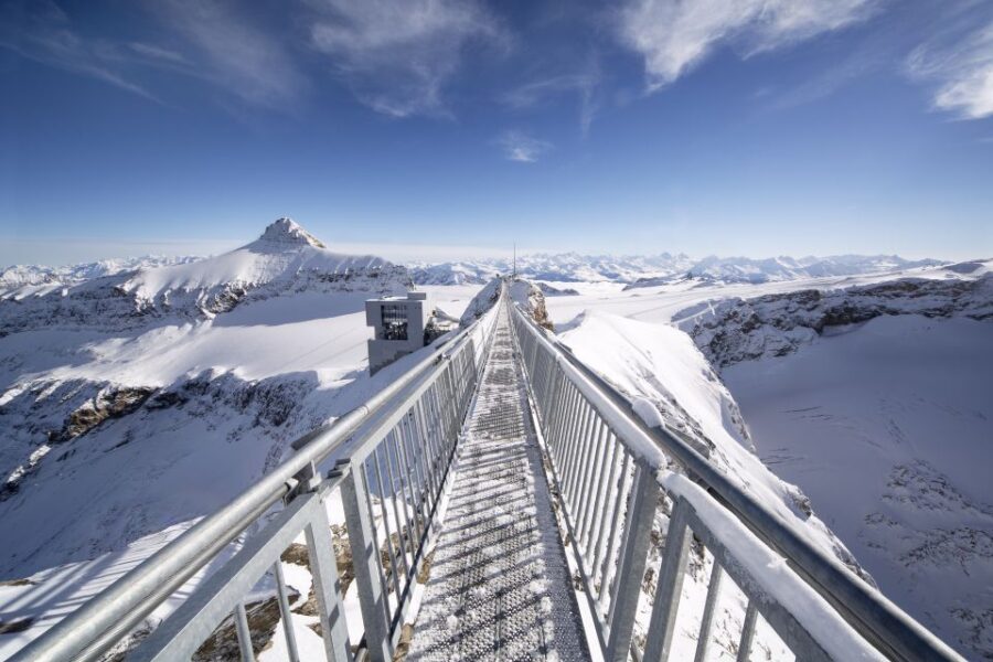 From Lausanne: Glacier 3000 experience and Montreux - From the Village of Les Diablerets to the Snowy Heights of Glacier 3000