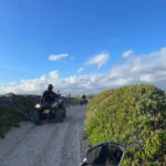 From Lisbon: Atlantic Coast Guided Quad Bike Tour - Navigating Smooth Roads to Build Confidence