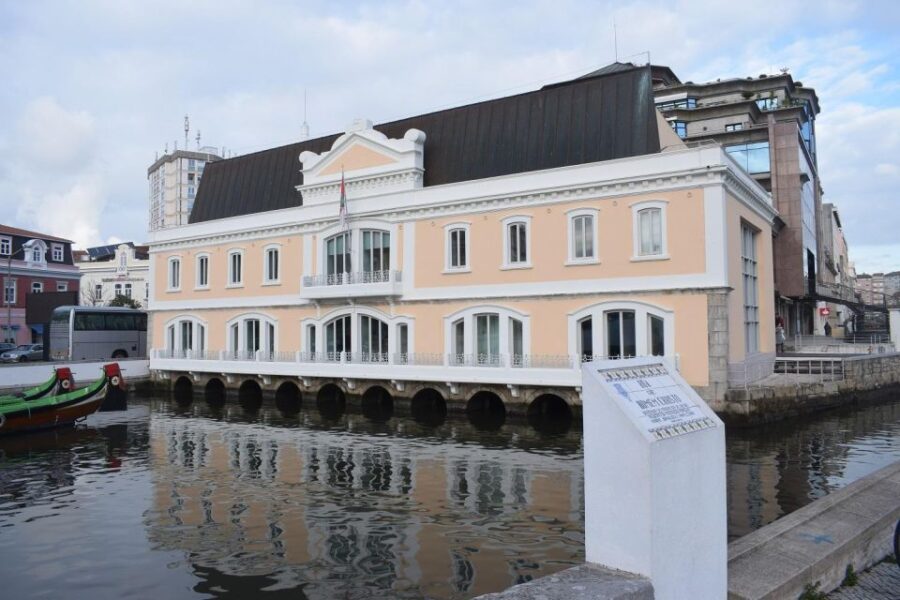 From Lisbon: Aveiro and Coimbra Food Experience - Journey from Lisbon to Aveiro’s Picturesque Canals