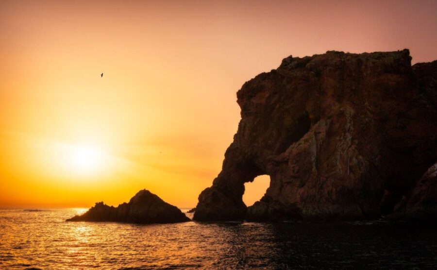 From Lisbon: Berlenga Grande Island Private Tour - Discovering Berlenga Grande Island’s Natural Beauty
