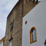 From Lisbon: Évora, Vila Viçosa, and Wine Cellars Day Trip - Starting Point and Transportation Logistics