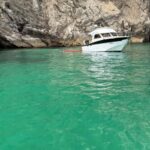 From Lisbon: Fantastic Dolphin Tour - Scenic Boat Ride through Arrábida and Dolphin Sightings