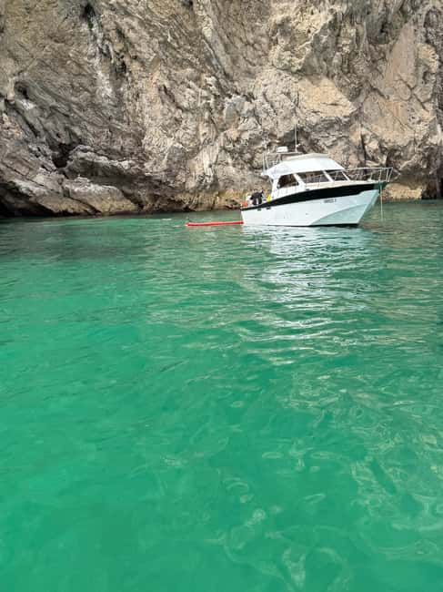 From Lisbon: Fantastic Dolphin Tour - Scenic Boat Ride through Arrábida and Dolphin Sightings