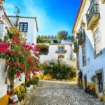 From Lisbon: Fátima, Nazaré, Óbidos Private Tour premium car - Departing from Lisbon in a Premium Tesla for a Personalized Day Trip