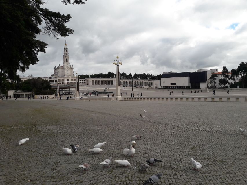 From Lisbon: Half-Day Fátima PRIVATE Tour - Convenient Pickup and Transport in a Private Vehicle