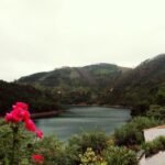 From Lisbon: Knights Templar - Tomar Private Tour - Exploring Dornes and Its Roman Roots