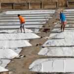 From Lisbon: Lagos Day Trip with Silves Stop - Comfortable Transportation and Flexible Pickup Options