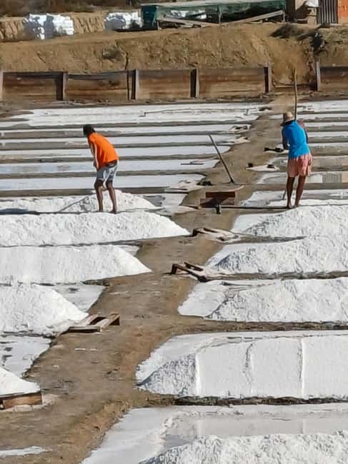 From Lisbon: Lagos Day Trip with Silves Stop - Comfortable Transportation and Flexible Pickup Options