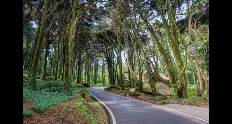 From Lisbon: Pena, Regaleira, Peninha, Adraga & Coastline - Savoring Sintra’s Traditional Travesseiro Pastry at Casa Piriquita