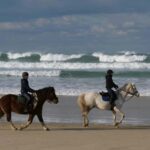 From Lisbon: Private Horse Ride, Wine & Tapas + Pickup - Private Pickup and Seamless Logistics from Lisbon