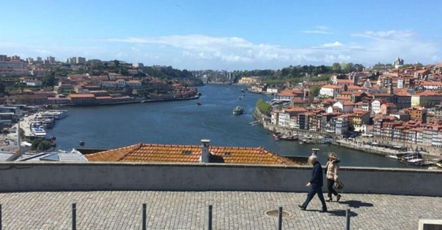 From Lisbon: Private Porto Sightseeing Tour - The Flexibility of a Private Tour in Porto