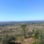 From Lisbon: Rio Maior, Mira de Aire, and Fátima Tour - Discovering the Salt Mines of Rio Maior