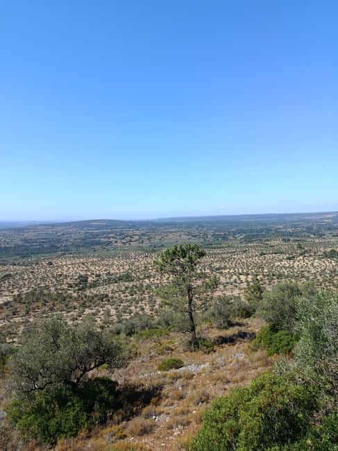 From Lisbon: Rio Maior, Mira de Aire, and Fátima Tour - Discovering the Salt Mines of Rio Maior
