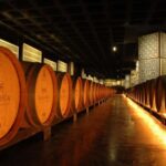 From Lisbon: Serra da Arrábida, Sesimbra, and Setúbal Wines - From Lisbon to the Wine Estates of Setúbal