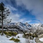 From Lisbon: Serra da Estrela Day Trip with Guide - Scenic Drive to Portugal’s Highest Point at Torre
