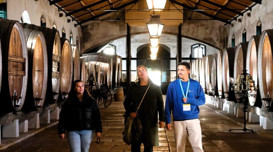 From Lisbon: Sintra, Pena Palace, Cascais and Wine Tasting - Starting Point and Logistics for a Smooth Day