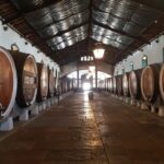 From Lisbon: Sintra Wine Experience - Exploring Sintra’s Hillside Winery