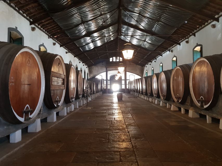 From Lisbon: Sintra Wine Experience - Exploring Sintra’s Hillside Winery