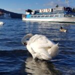 From Liverpool: Lake District Sightseeing Adventure Day Trip - Exploring the Lake District’s Landscapes