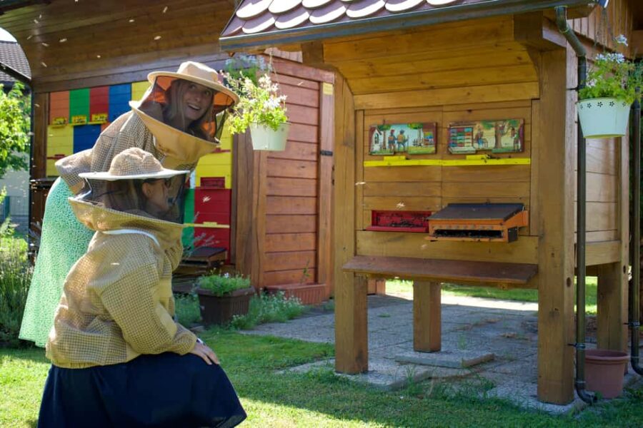 From Ljubljana: All About Bees - Exploring Slovenian Beekeeping at Dobova